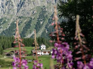 Hotel Chesa Pool - Sils Maria - 5