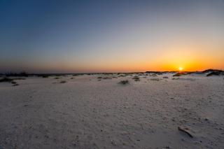 Shamrock Shores - GULF FRONT west end PET FRIENDLY property with room for everyone, 3 Master suites! home - Dauphin Island - 9