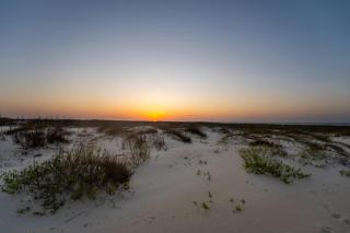 Shamrock Shores - GULF FRONT west end PET FRIENDLY property with room for everyone, 3 Master suites! home - Dauphin Island - 8