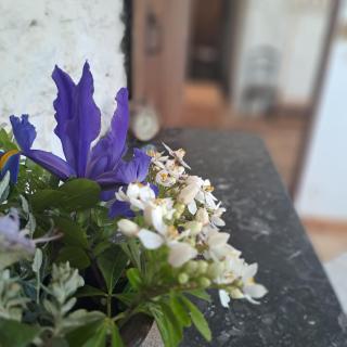 Gîte 4 étoiles Coume a Case, Pyrénées Atlantiques - Lys - 5