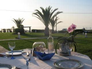 Right in front of the best beach-Seafront family house with garden - Kalandra - 7