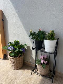 Beachfront Villa Athina - Vergia - 5