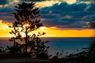 Ocean Views Walk to the Beach with King Suite - Encinitas - 6