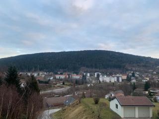 La residence des feutres appartement 1 - Gérardmer - 2