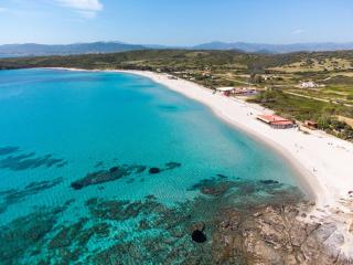 Sea Shell - Klodge - Olbia - 0