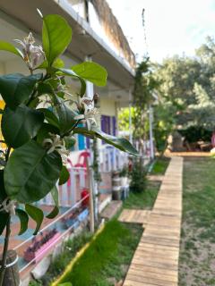 GAYA PANSİYON ÇIRALI - 6