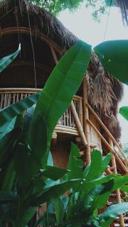 Alpaca Lodge - Tanah Lot - 9