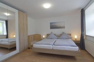 Seemöwe am Naturstrand - 1