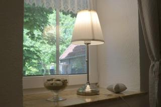 Seemöwe am Naturstrand - 6