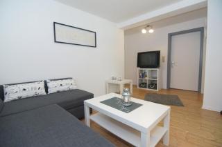 Seemöwe am Naturstrand - 5