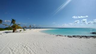 Madi Grand Maldives - 0