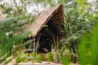 Banyan Tree Hostel - Kampot - 0