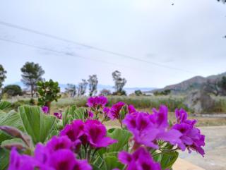 Narciso - San Vito lo Capo - 9
