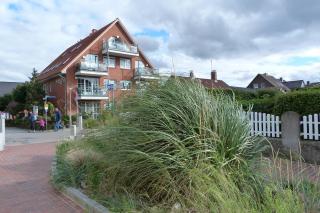 Ostseemuschel Laboe - Laboe - 0