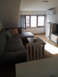 Apartman Petrovic - Vrnjačka Banja - 1