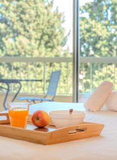 Les 15 Pins & La Mer -Your green getaway near sea & beach - Antibes - 4