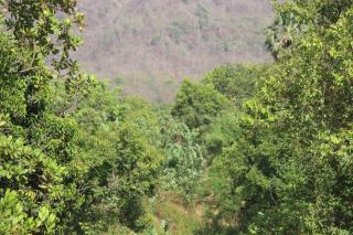 Shambhavi Farm - Dhamni - 8