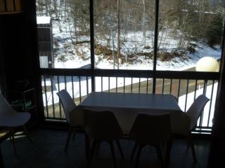 Studio cosy avec terrasse privée - Montferrier - 3