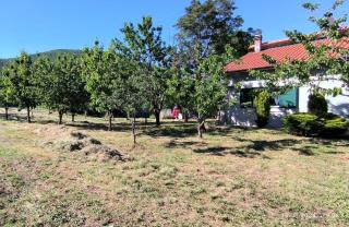 Vacation House Antonia with jacuzzi, gym and huge garden - - 4
