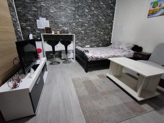 Apartman Starcevic - Vršac - 1