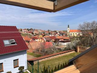 Sklípek u Šťavíků Za Valama - Čejkovice - 7