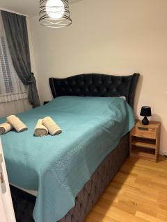Apartman Lena - Vrnjačka Banja - 5