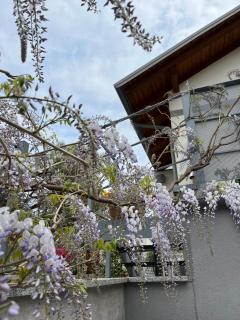 CasaNobile -Suite Il Melo - 1