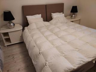 Villa och gårdshus i Visbys lugnaste kvarter - 6