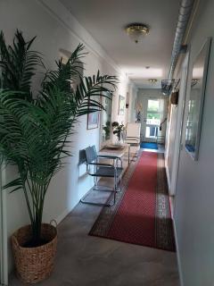 Villa och gårdshus i Visbys lugnaste kvarter - 3