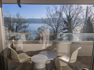 Lake view and access designer apartment - 0