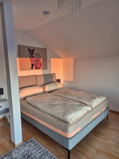 Room with a view - Zimmer mit Balkon und Bergblick - zwischen München und Rosenheim - Feldkirchen-Westerham - 7