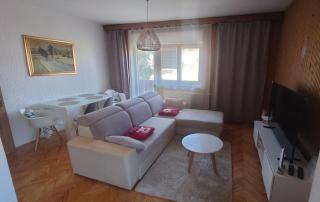 Spacious apartment Kata, with balconies and large garden - Tršće - 8