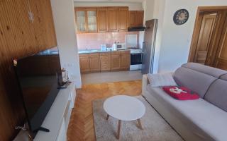 Spacious apartment Kata, with balconies and large garden - Tršće - 3