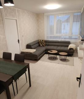 Chaleureux Appartement Reims - Reims - 3