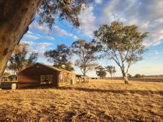 The Vineyard Lodge - Clare - 8