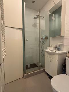 Studio Ana city centre - Belgrado - 5