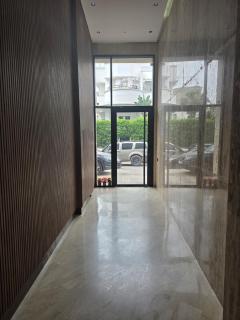 Washingtonia Palm - Casablanca Center - Casablanca - 7
