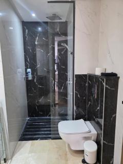 Washingtonia Palm - Casablanca Center - Casablanca - 2