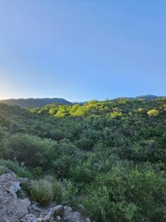 MONTE ZION Apart Colibrí - 3