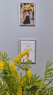 Mimosa Oasis - Vlora - 7