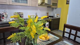 Mimosa Oasis - Vlora - 6