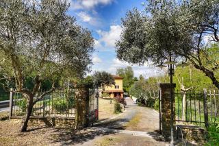 Casa Magnolia - Bientina - 5
