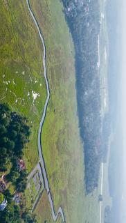 Thottungal Homestay - Ernakulam - 8