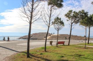 Botanical Breeze - Durazzo - 1