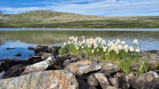 Leilighet med tilgang til badebasseng - Bjorli - 5