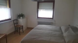 Ferienwohnung Lahr im Schwarzwald ,120 qm, nahe Europa Park Rust, Außenpool 8x4 - 6