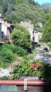Le marronnier - Valleraugue - 4