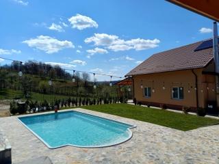 Casă de vacanța !!! - Pietrari - 9