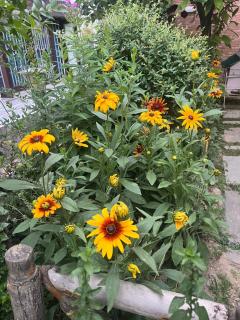 Aesthetics Cottages - Srinagar - 4