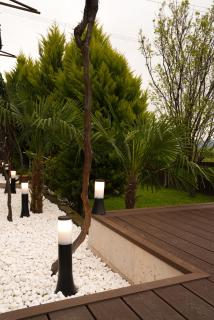Villa Aragvi - 2